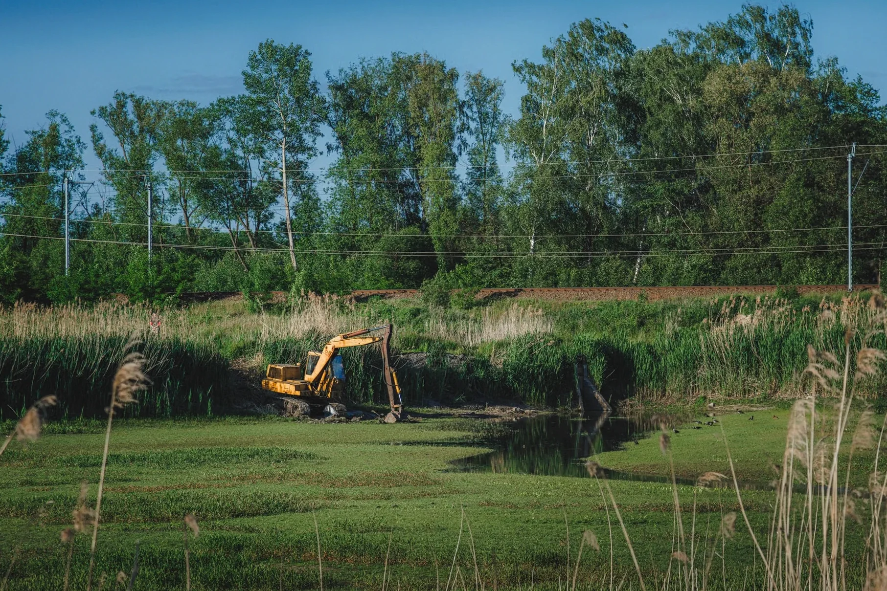 Commercial Land Clearing in Mobile, AL