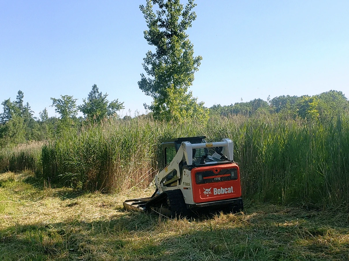 Residential Brush Clearing in Mobile, AL